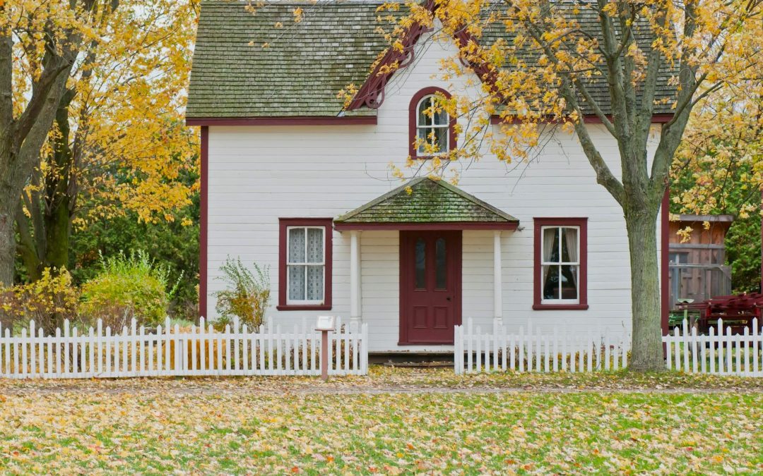 Choosing The Best Color Palette to Transform Your Home