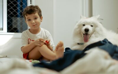 Scuff-Proof Your Home: Durable Paint Guide for Billings Families
